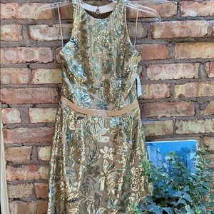 NWT Dress the Population Sequin Backless Dress!